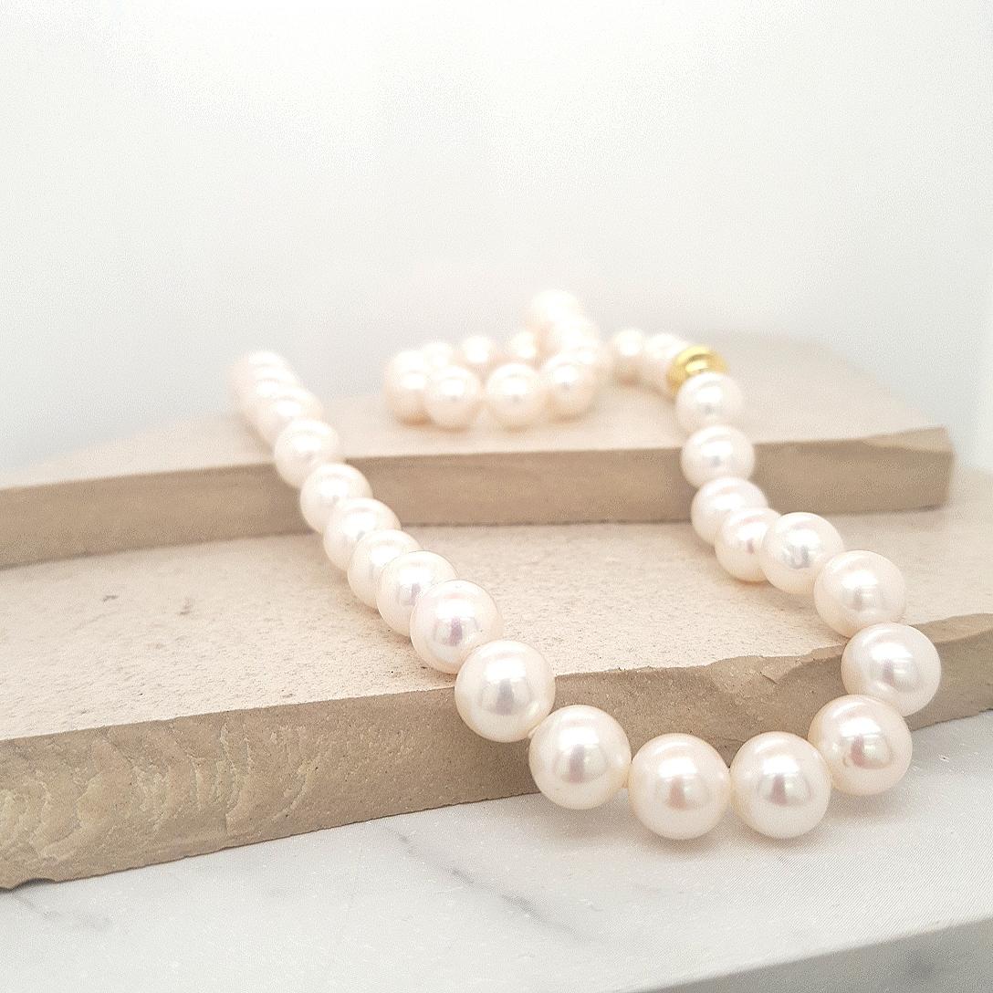Freshwater Pearl Necklace