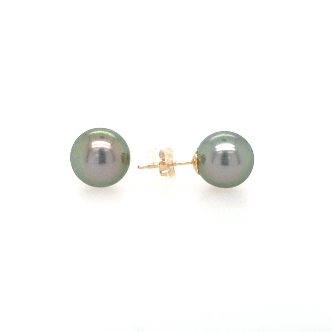 9ct Yellow Gold 10-11mm Round C Grade Tahitian Pearl Stud Earrings