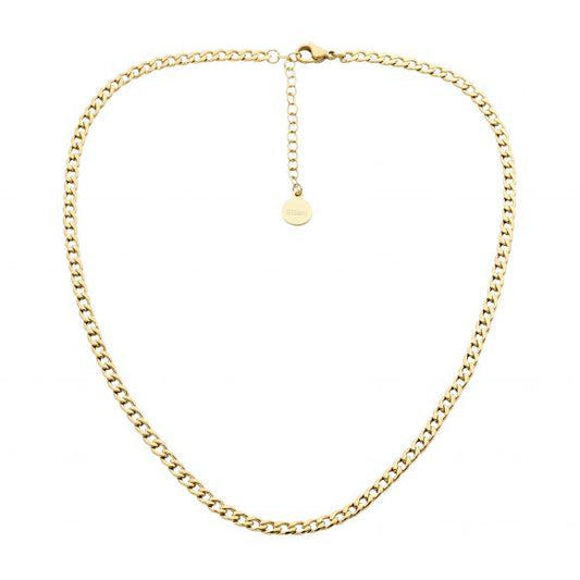 Ellani Stainless Steel and IP Yellow Gold Plated Curb Chain Necklace