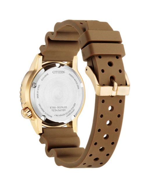 Citizen Stainless Steel Promaster Eco-Drive 200m WR Code: eo2022-02a