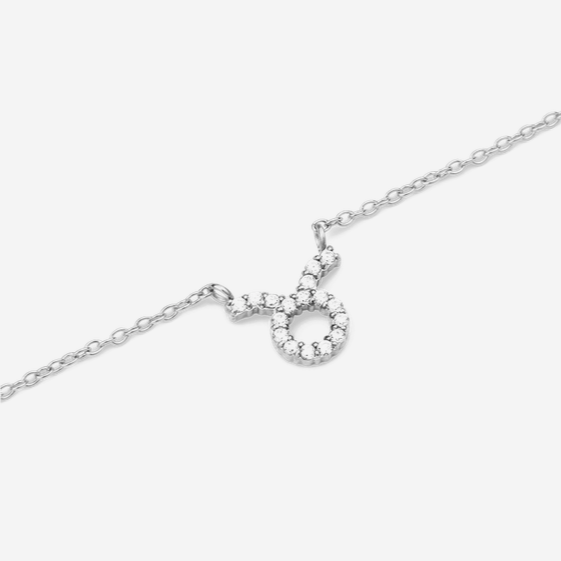 Daniel Wellington Steel Zodiac Crystal Taurus Necklace