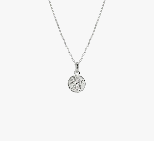 Evolve Sterling Silver Tui Coin (Admired) Necklace