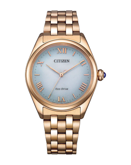 Citizen Ladies Eco Drive Watch