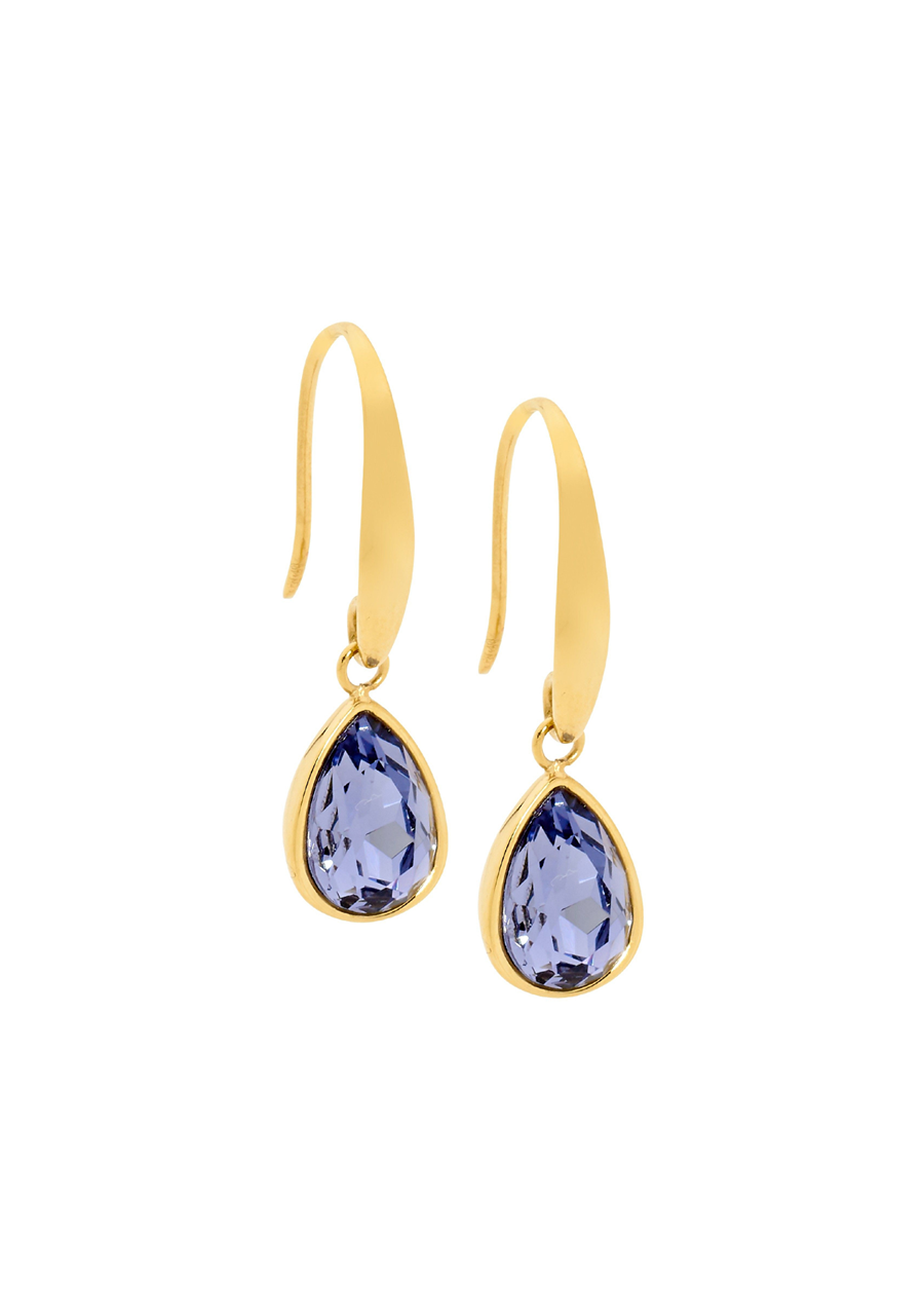 Ellani Stainless Steel Yellow Gold Plated Tear Drop Hook Earrings with Amethyst Glass