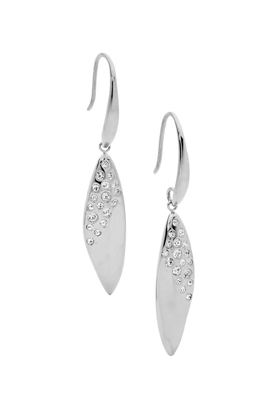 Ellani Stainless Steel Drop Hook Earrings with Scattered White Crystal