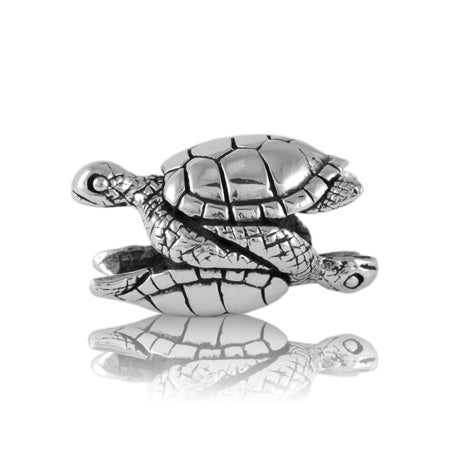 Evolve Sea Turtles Focal Charm