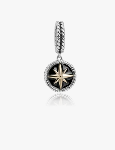 Evolve Compass (Navigation - Gold & Enamel) Dangle Charm