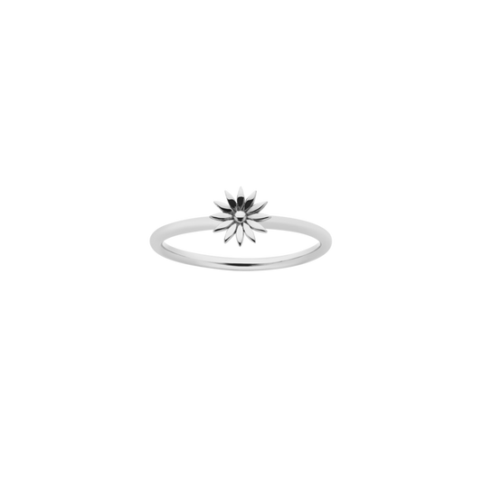 Meadowlark Sterling Silver Dazed Ring