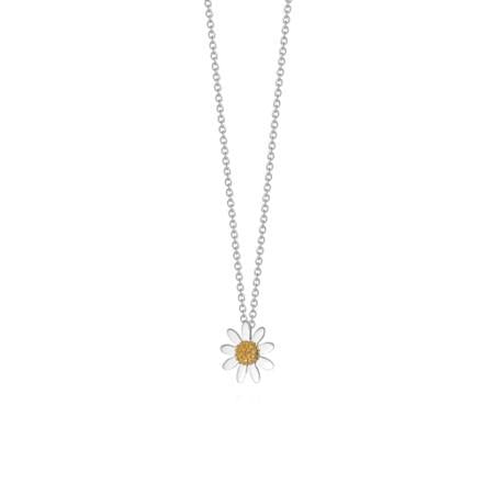 Daisy London Sterling Silver & 18ct Gold Plated 12mm Marguerite Daisy Necklace