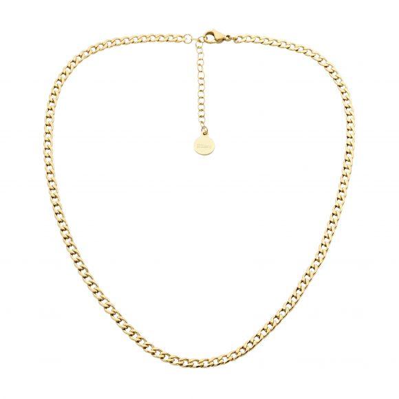 Ellani Stainless Steel and IP Yellow Gold Plated Curb Chain Necklace