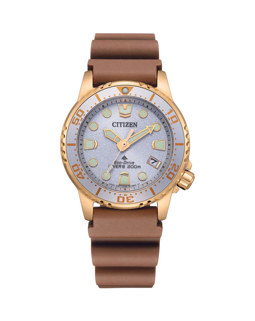 Citizen Stainless Steel Promaster Eco-Drive 200m WR Code: eo2022-02a