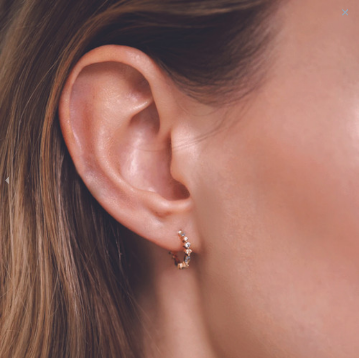 PD Paola Gold Plated Atelier Ombre Earrings