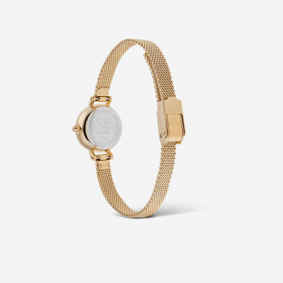 Daniel Wellington Petite Mini 19 Evergold Watch with White Dial