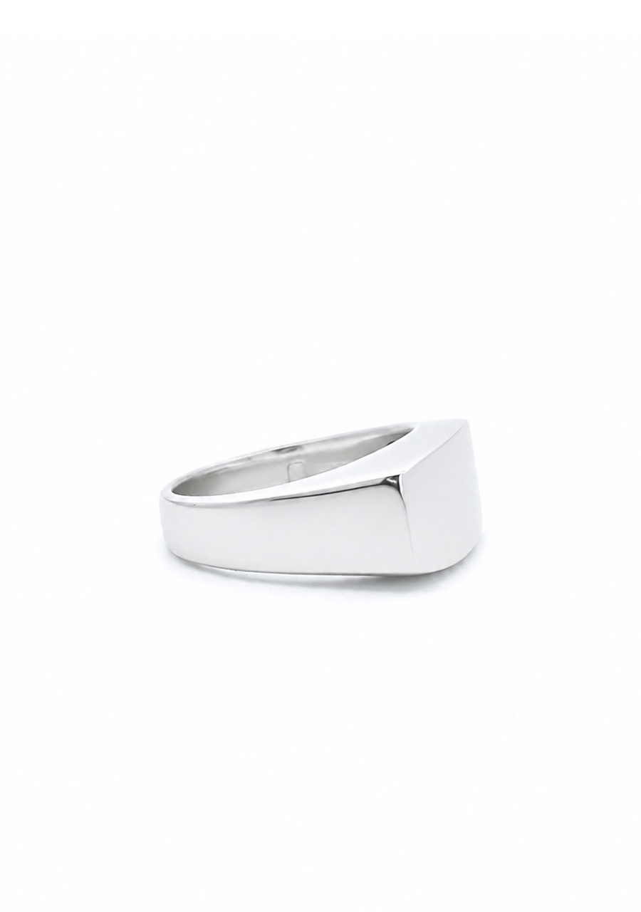 Sterling Silver Long Rectangular Signet Ring