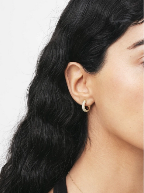 Daniel Wellington Brass Gold Plated Pavé Earrings