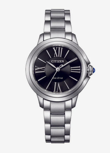 Citizen Ladies Stainless Steel Eco-Drive Watch