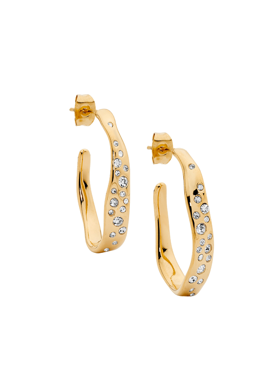 Ellani Stainless Steel Yellow Gold Plated 31mm Hoop Earrings with Scattered White Crystals