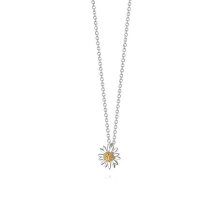 Daisy London Sterling Silver & 18ct Yellow Gold Plated 15mm English Daisy Necklace